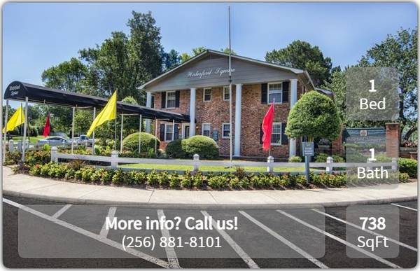 $989 / 1br - 738ft2 - Put a smile on your face! You've just found the right place! (Huntsville)63801859671425120
