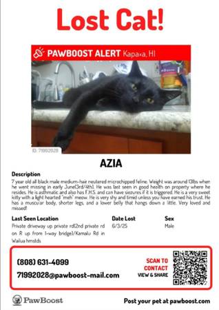 🖤Missing AZIA Cat‼️🖤 1