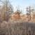 6.4 acres 3 thumbnail