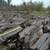 ALMOND FIREWOOD FREE BAY AREA DELIVERY HILLERMANS A+ RATING WITH BBB 2 thumbnail
