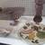 Jane Mayer: Funky Pottery! 16 thumbnail