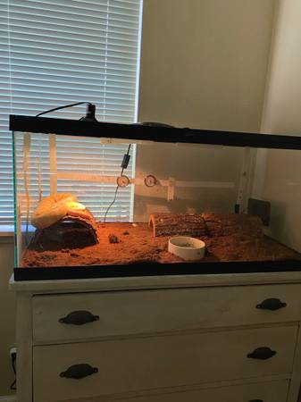 Terrariums for Sale $250 for both (napa county)63874129938947120
