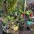 Biggest Best Backyard Multi Family Sale 19 thumbnail