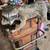 raccoon - taxidermy - large good shape - vintage 7 thumbnail