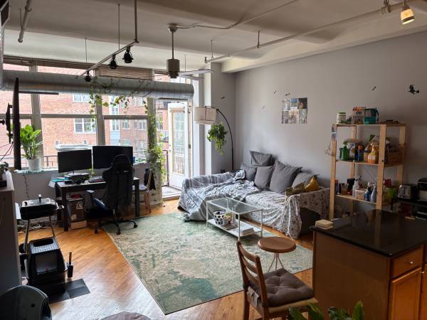 ✨1 Bed Balcony Loft in South Loop w/ Parking, Wi-Fi & DishTV Included 1