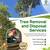 Tree services 3 thumbnail