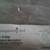 NEW Pampered Chef Wine Aerator 10 thumbnail