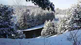 $2200.00 / 3br - 1300ft2 - 3 bed, 1 bath House in Traverse City64037723979906121