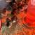 Purebred Chicks 5 thumbnail