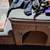 Pet Stairs, crate, gate, rug, boots, collar and more 1 thumbnail