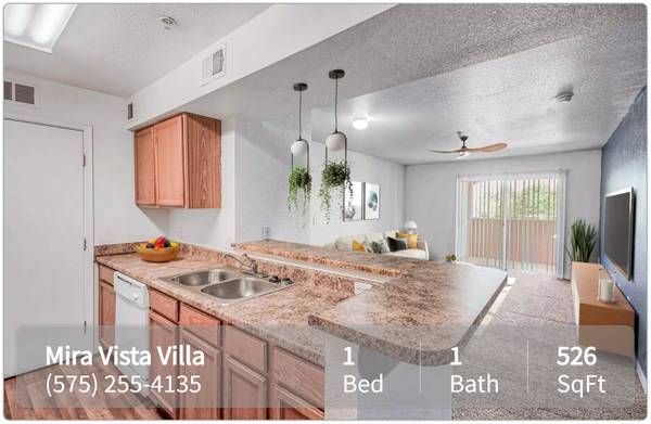 $875 / 1br - 526ft2 - Amazing 1 Bed / 1 bath - at a great low price! 526 Sq Feet (Las Cruces)64047885881345122