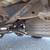 1996 FORD F150 XLT LONG BED 5.8L, Accident free, 2 owner, local, NICE! 22 thumbnail