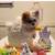 LOST-Tea cup white Pomeranian 1 thumbnail