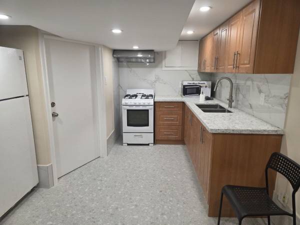 Brand new basement apartment for rent downtown