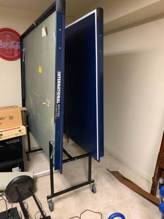 Ping pong table 1