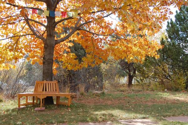 Two Furnished Rooms for the Price of One! 1