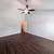 Available Now! Charming 3 Bedroom Paradise Near Shopping 7 thumbnail