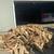 Firewood/firewood oak $180 1 thumbnail