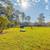Situated in Jacksonville!, On-Site Management Team, 1/bd 1/ba 3 thumbnail
