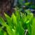 Complete 65-Gallon Custom Freshwater Aquarium Setup - Vibrant & Well-E 19 thumbnail