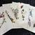 Audubon-18 Best Loved Bird Paintings 3 thumbnail