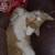 Loveable/E.S.A. Kitties 4 thumbnail