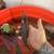 Dwarf caiman 1 thumbnail
