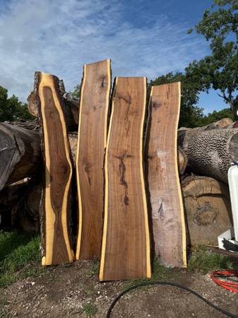 CHEAP Live-Edge Walnut Slabs, Green 1