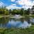 Pet Lovers' Dream! Walkable, Private Park & Outdoor Living 8 thumbnail