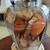 Lamp with Beautiful Sea Shells 2 thumbnail