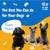 Professional Dog Training & Boarding Services Available for barter 3 thumbnail