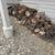 Split Firewood - Dry - Around a half cord 1 thumbnail