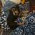 PET CARE/SITTING 8 thumbnail
