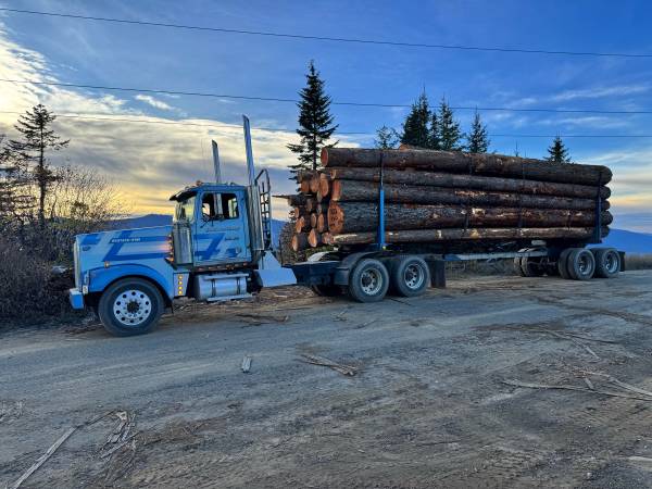 western star logging truck 1