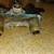 Brass Bathtub diverter Faucet 3 thumbnail