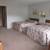 Furnished motel style suite, No Deposit daily $ 75.00 weekly $395 7 thumbnail