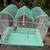 BIRD CAGE 2 thumbnail