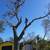 Pressure washing & tree service landscaping 1 stop shop 22 thumbnail
