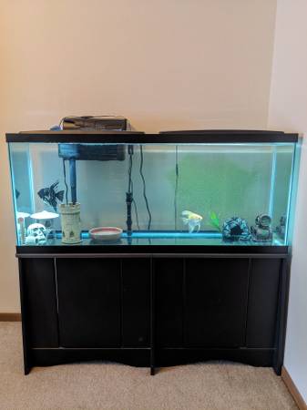 AQUARIUMS/FISH 1