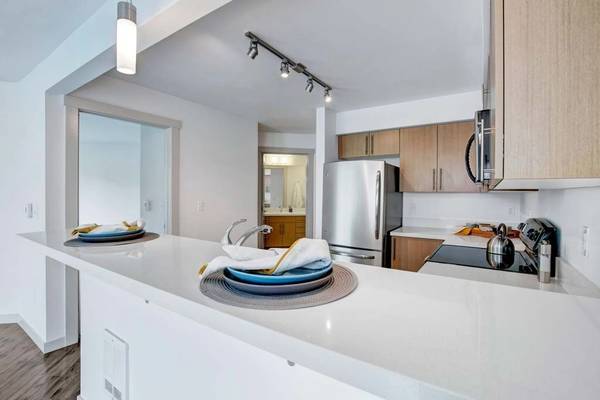 Two paws up for our 1 BR / 1 BA! Seattle's top pet-friendly spot. 1