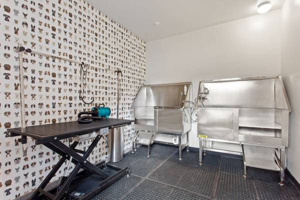 $1,867 / 1br - 700ft2 - Package Receiving, Recycling, On-Site Maintenance (13285 Southwest Hawks Beard Street, Tigard, OR)63867270363009124