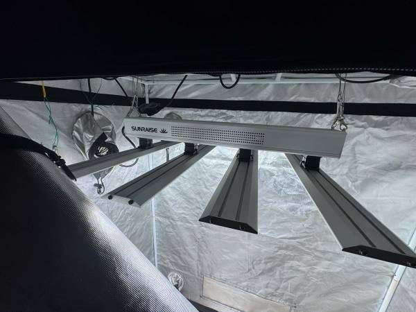 Tienda de Cultivo Interior / Microcultivos Llave en Mano / Plazo Mínimo de 3 Meses - $750 (Detroit)62960752468483122