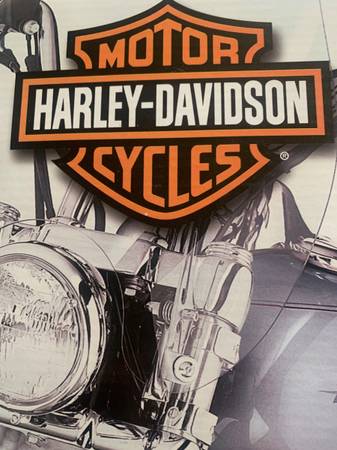 HARLEY DAVIDSON SCOOTER 1