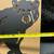 NEW - Bear Metal Wall Decor 5 thumbnail