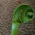 Hoover v2 Steam Vac Solution Tank Handle 39457029 Green Handle 2 thumbnail