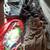 Girls and boys clothes 8 thumbnail