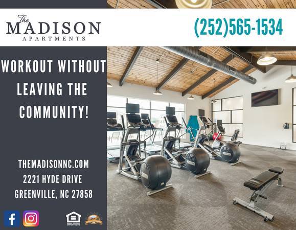 $1,330 / 1br - 986ft2 - Netflix, Laundry, Repeat – Madison Apartments Got You Covered (Greenville)63897185989763120