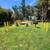 Inviting Escape: Playgrounds, Sport Courts, Serene Spaces 4 thumbnail