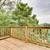 955 E Warrington #1----3 Bedroom, 1 Bath----$1,599--- Available Now! 10 thumbnail