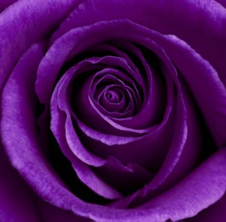 WHAT'S YOUR FANTASY? CUSTOMIZED SELF-CARE 1